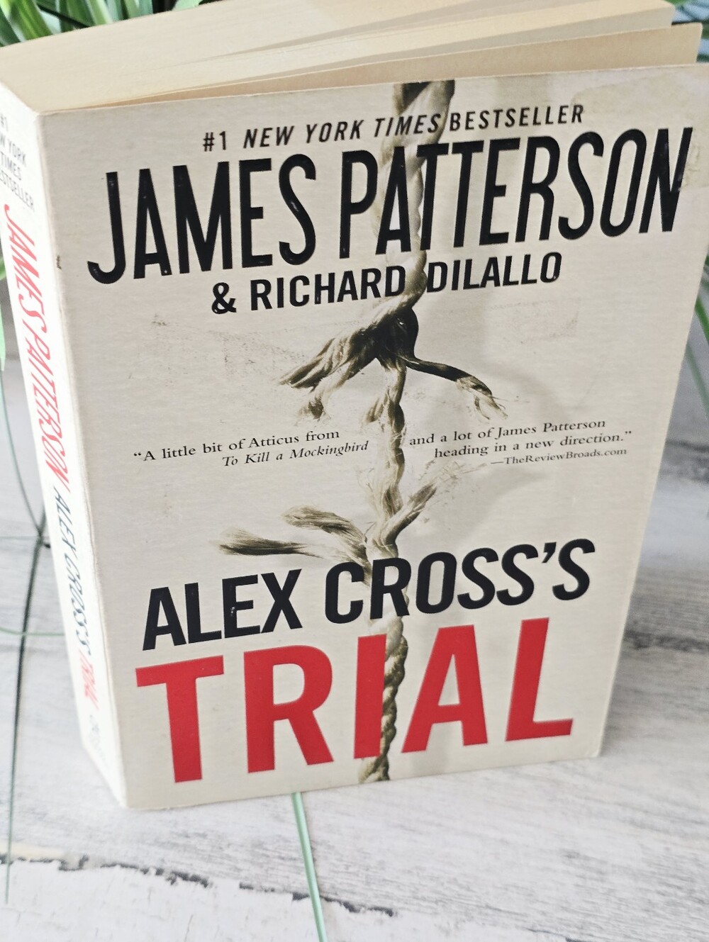 Alex Cross's Trial by James Patterson Book #15